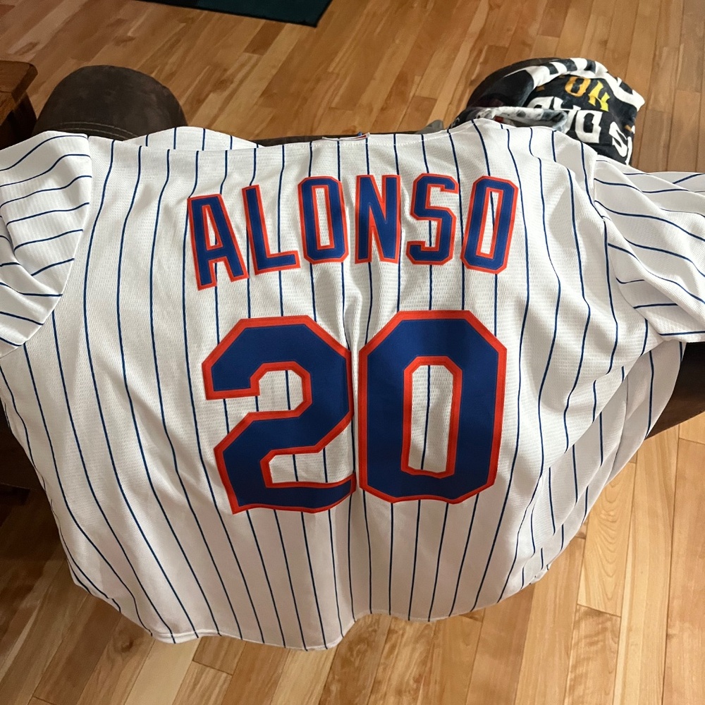 Mets plagues - Picture 6 of 7